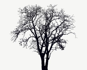 Dry tree silhouette collage element, | Free PSD - rawpixel