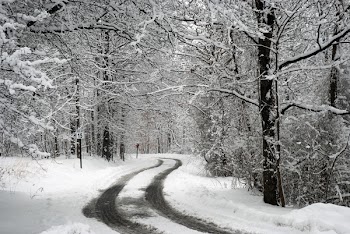 DSC_0008.JPG