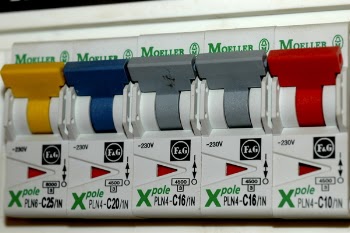 DSC_0008_r.JPG