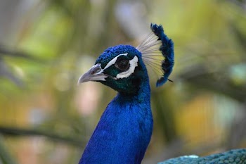 DSC_0045.JPG