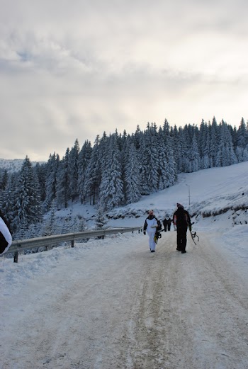 DSC_0096.JPG