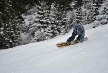 DSC_0222.JPG