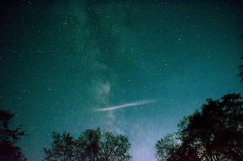 DSC_0246.jpg