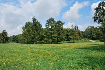 DSC_0383_u.JPG