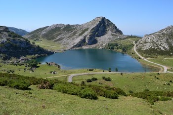DSC_0781.JPG