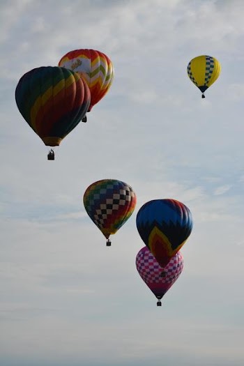 DSC_1556.JPG