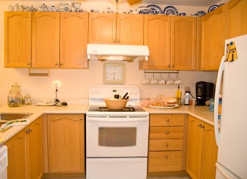 DSC_1582a.jpg