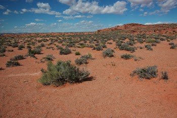 DSC_5694.JPG