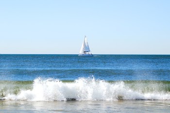 DSC_5696.jpg