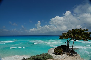 DSC_6211.JPG