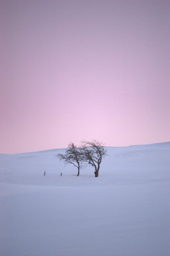 DSC_7928.NEF.jpg