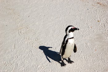 DSC_9944.jpg