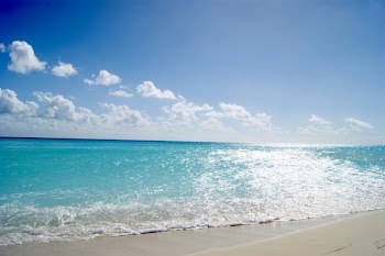 DSC01084.JPG