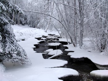 DSC01698.JPG