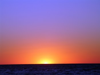 DSC03015.jpg