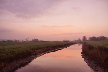 DSC04652.JPG