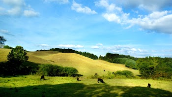 DSC05070.jpg
