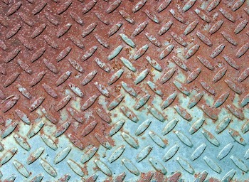 DSC06665.jpg
