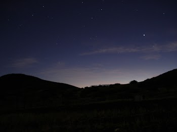 DSC07831_p.JPG