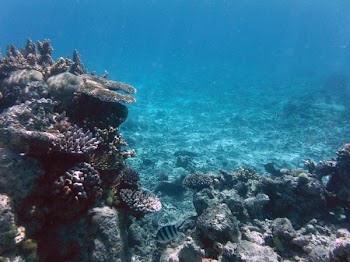 DSCF1018.JPG