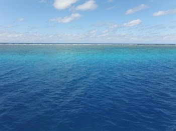 DSCF1046.JPG