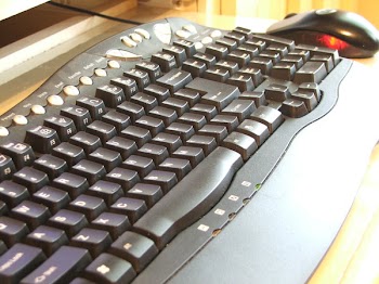 DSCF1405.JPG