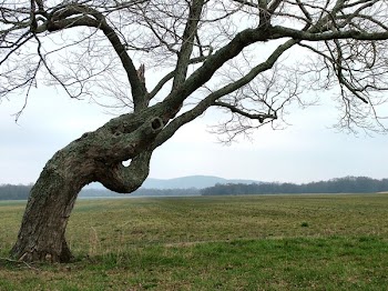 Dscf1610.jpg