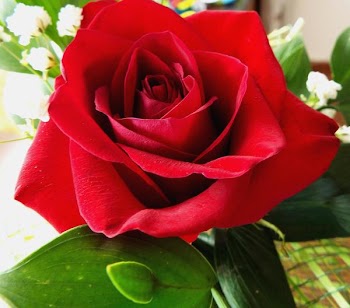 DSCF1838_1.jpg