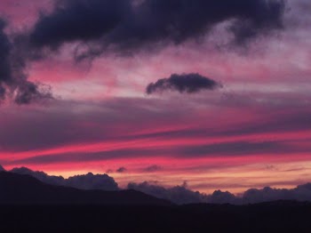 DSCF2011.JPG