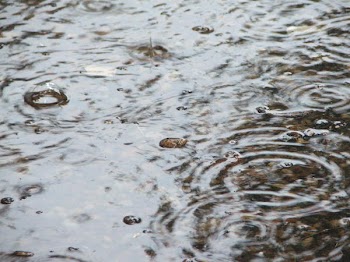 DSCF2283.JPG