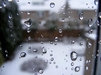 DSCF2420.JPG