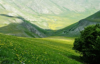 DSCF2482.jpg