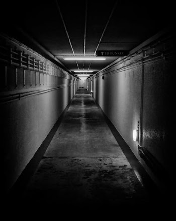 DSCF8522_bw.jpg