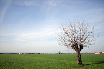 DSCN0507.jpg
