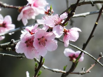 DSCN0873.jpg