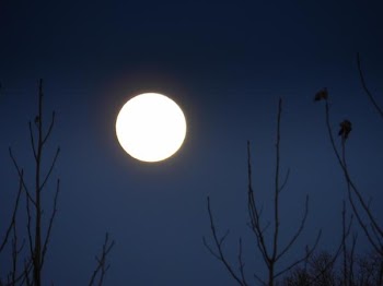 DSCN1436.jpg