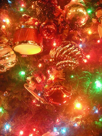 DSCN1621.JPG
