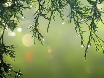 DSCN2610.jpg