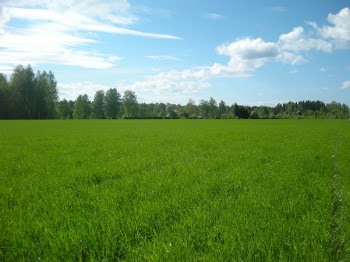 DSCN3373.JPG