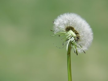 DSCN4150.JPG