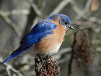 DSCN4835.JPG
