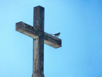 DSCN5192.JPG
