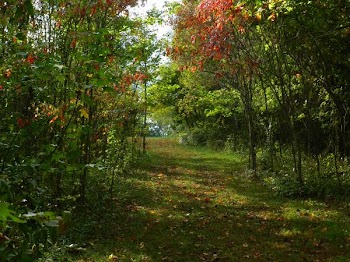 DSCN5270.jpg