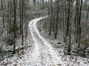 DSCN5764.jpg