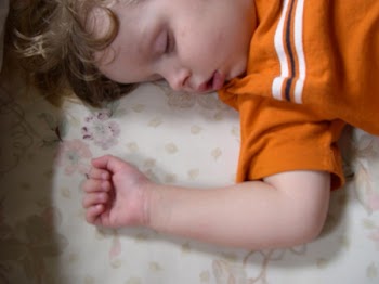 Dscn7135.jpg