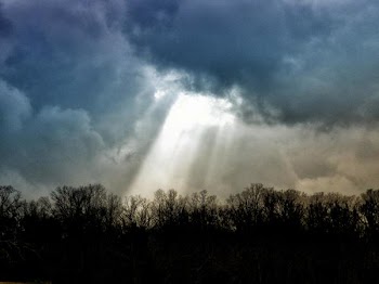 DSCN8550.jpg