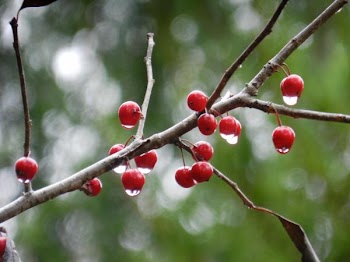 DSCN9415.jpg