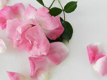 DSCN9717.jpg