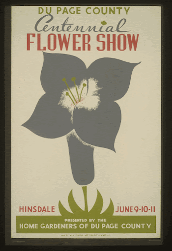 Du Page County centennial flower | Free Photo - rawpixel