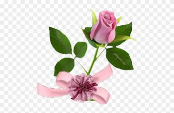 Dua Gülü - 3d Rose